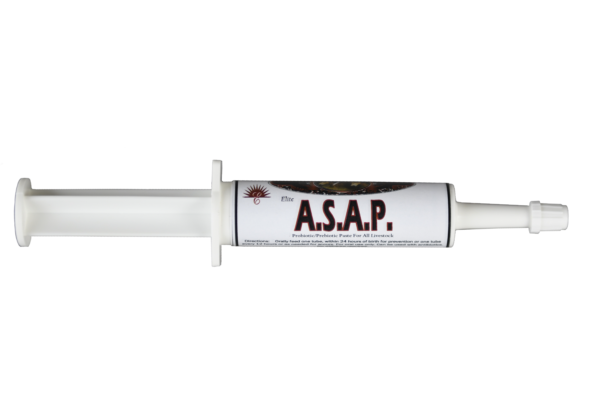 ASAP Foal Paste