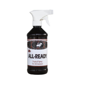 All-Ready Spray 16 oz