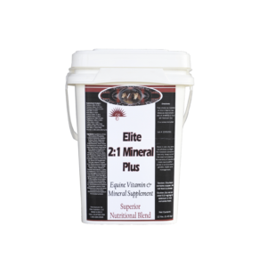 2 to 1 Mineral Plus 12 lbs