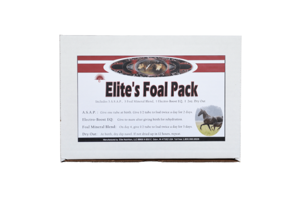 Foal Pack Kit
