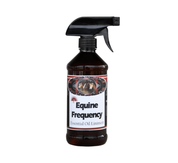 Frequency Spray 14 oz