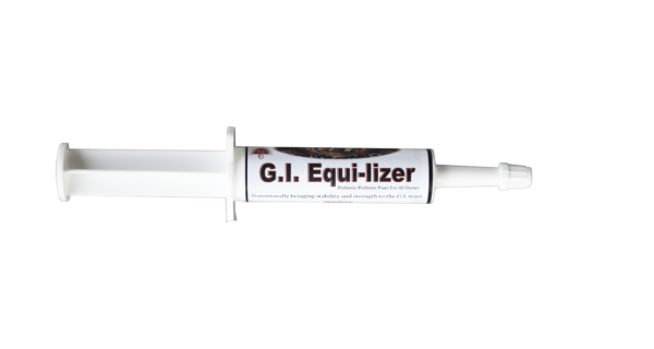 GI Equilizer Paste - Image 2