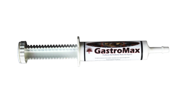 Gastro Max Paste 75 gm