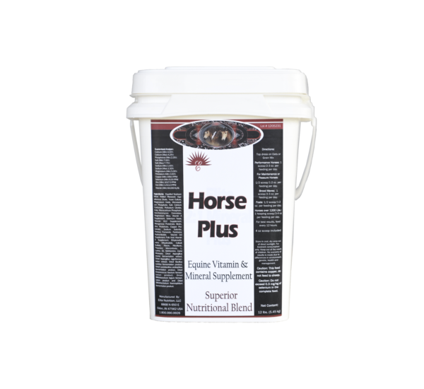 Horse Plus Bucket