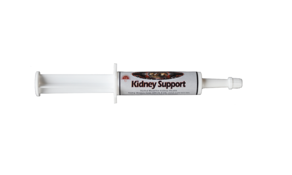 Equine Kidney Support Paste 15 gm/25 pk