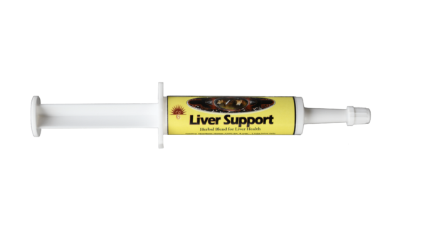 Equine Liver Support Paste 15 gm/25 pk