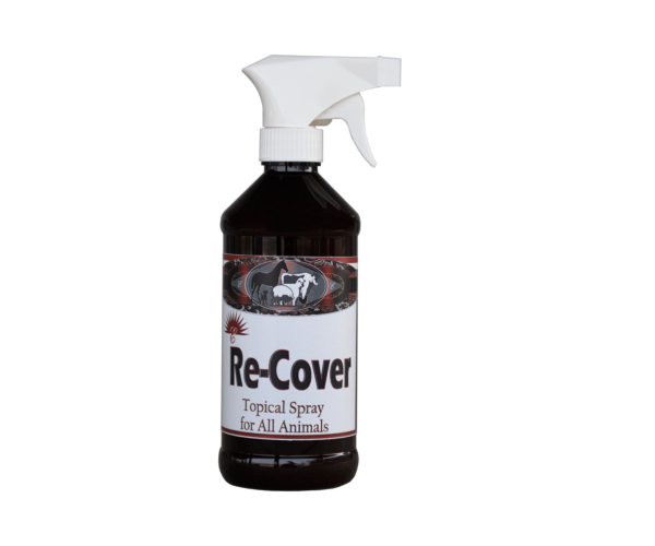 Re-Cover Spray 16 oz