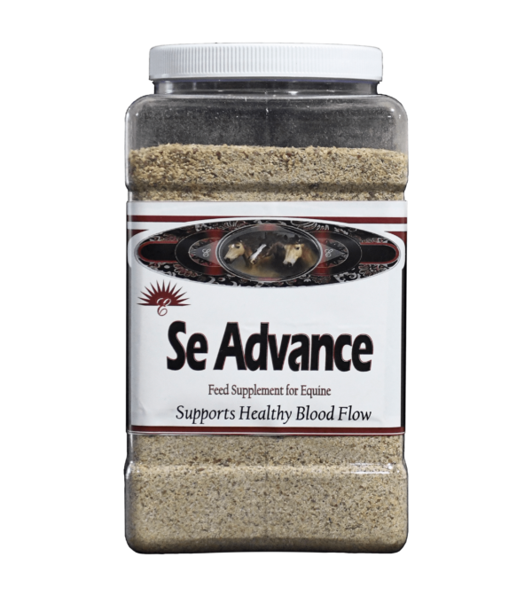 SE Advance