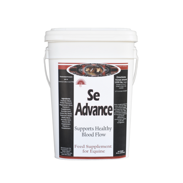 SE Advance - Image 2