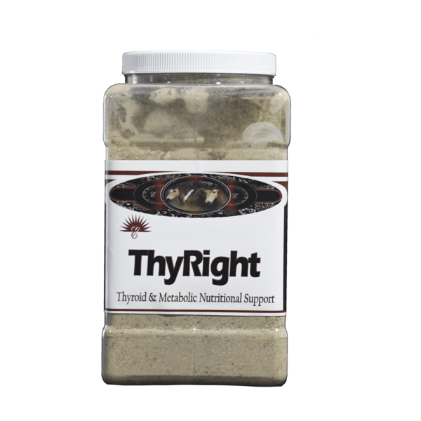 Thy-Right 5 lbs