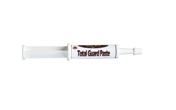 Total Guard Paste 14 gm/10 pk - Image 2