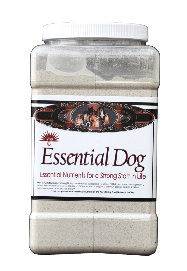 Essential Dog - Image 3