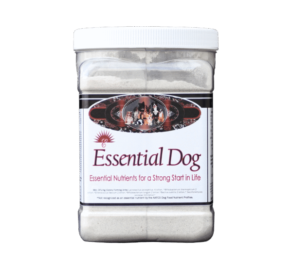 Essential Dog