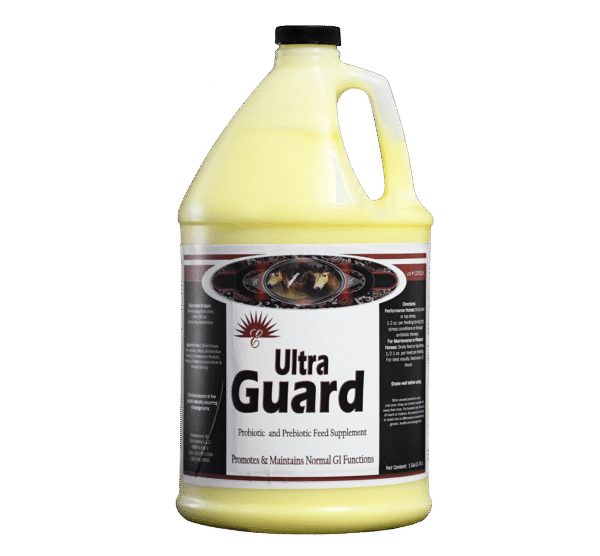 Ultra Guard Liquid - Image 2