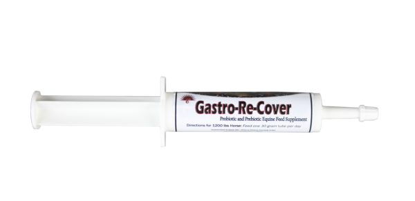 Gasto-Re-Cover Paste 30 gm/30 pk